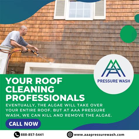 affordable roof cleaning service in my area